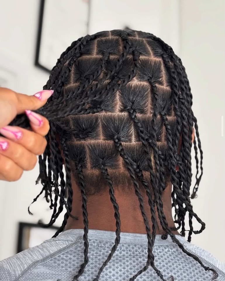 Single Braids & Twists